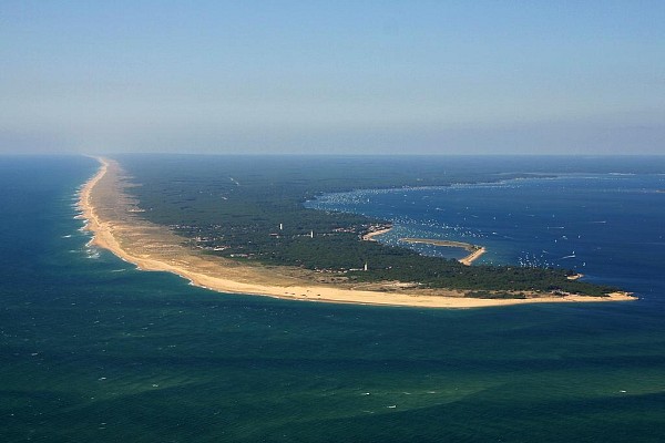 capferret.jpg